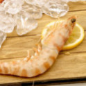 Langostino Tigre de Huelva salvaje