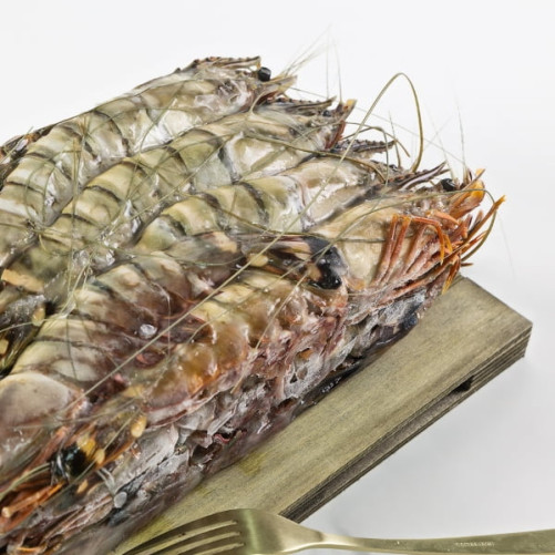 Langostino Tigre Jumbo Gigante XXL