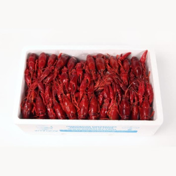 Cangrejo de río cocido 2Kg - Compesca