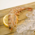 Langostino Tigre de Huelva salvaje