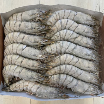 Comprar Langostino tigre grandes 2kg