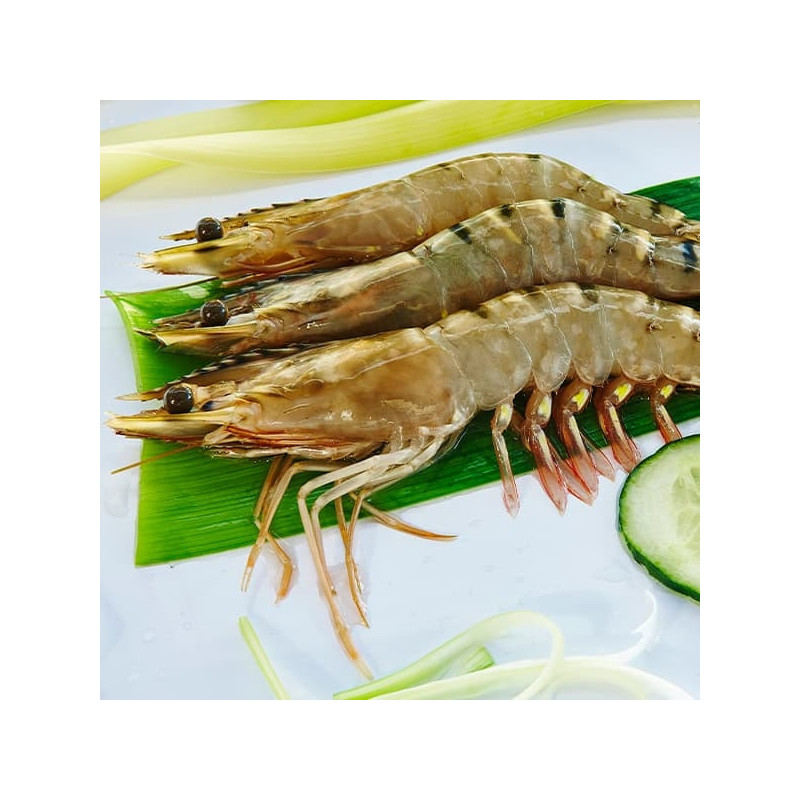 Langostinos tigre grandes 2kg