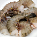 Colas de gambas Colas de gambas
