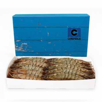 Langostino Tigre Jumbo Salvaje