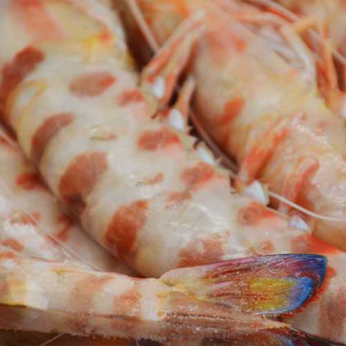 Langostino Tigre de Huelva salvaje