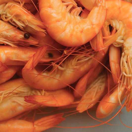 Langostino recién cocido 2kg