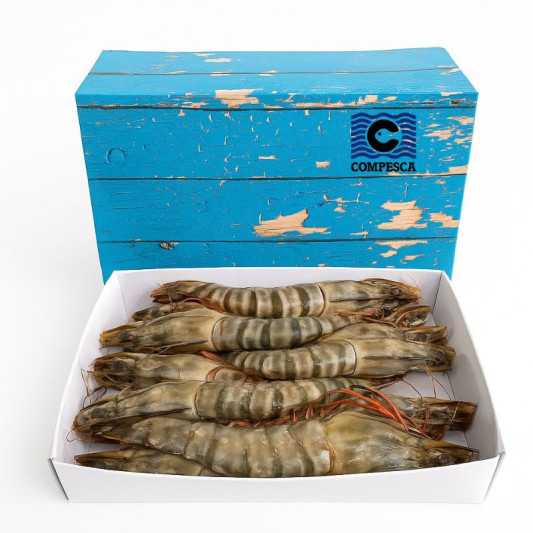 Comprar Langostino Salvaje Jumbo Gigante XXL - Compesca