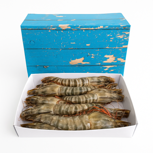 Langostino Tigre Jumbo Gigante XXL