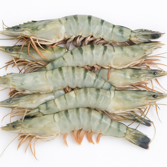 Langostino Salvaje Jumbo Gigante XXL - Compesca