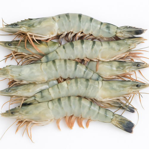 Langostino Salvaje Jumbo Gigante XXL - Compesca