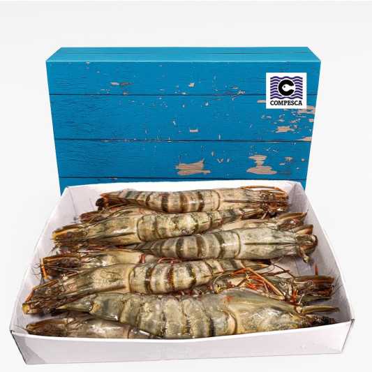 Langostino tigre gigante Jumbo, talla XXL, de la marca Compesca en caja de 1kg.