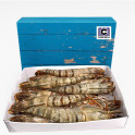 Langostino Tigre Jumbo Gigante XXL 1kg Langostino Tigre Jumbo Gigante XXL 1kg