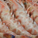 Langostino Tigre de Huelva salvaje 1kg Langostino Tigre de Huelva salvaje 1kg