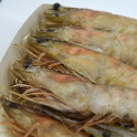 Langostino Marfil salvaje 2kg