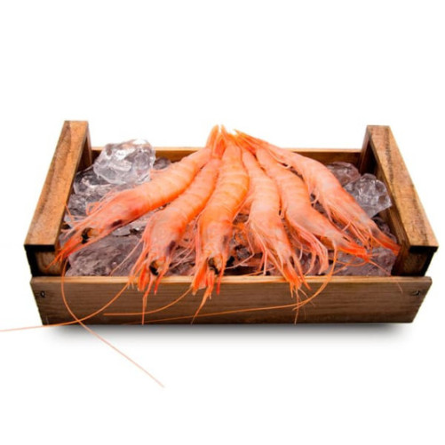 Gamba Blanca del Mediterráneo Extra 1kg