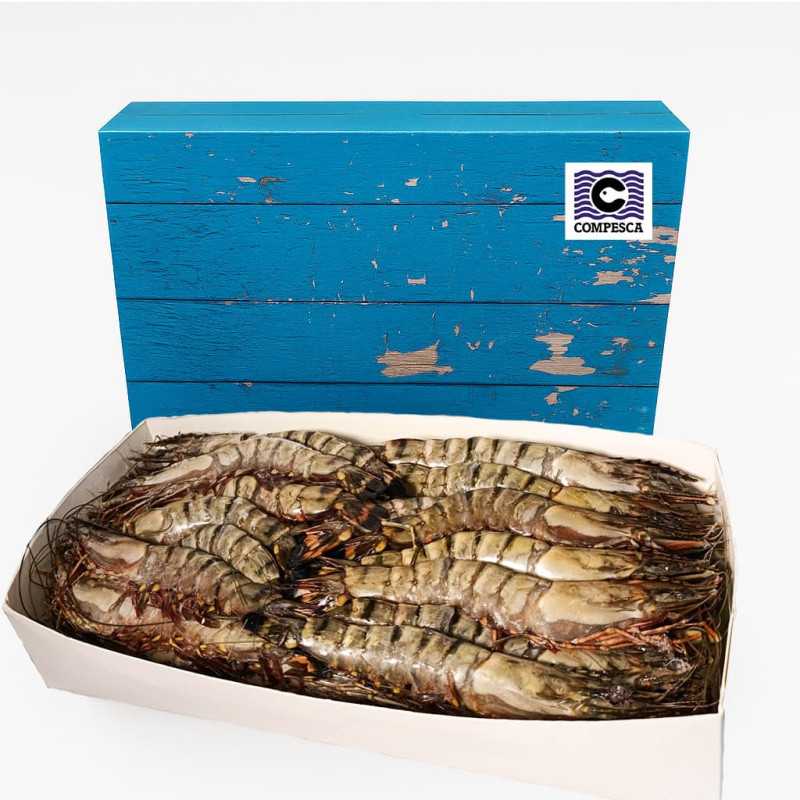 Langostino Tigre Jumbo Salvaje 2kg