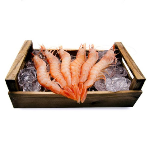 Gamba Blanca del Mediterraneo Extra 1kg