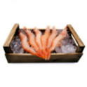 Gamba Blanca del Mediterráneo Extra 1kg