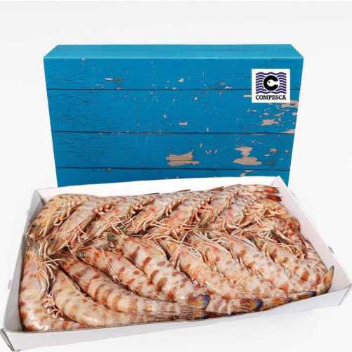 Lote de navidad PREMIUM 2