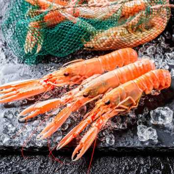 Lote de navidad premium 3: gamba roja, langostino de huelva, cigalas, zamburiñas y pastel de cabracho.