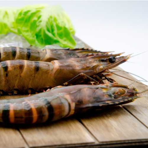 Lote de navidad PREMIUM 4