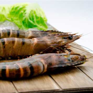 Lote de navidad premium 4: langostino tigre, gamba roja, txangurro, zamburiñas y pastel de cabracho.