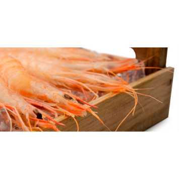 Lote de navidad premium 5: gamba blanca de huelva, gamba roja, zamburiñas y pastel de cabracho.