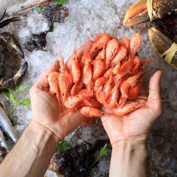 Lote de navidad premium 6: langostino de huelva, gamba blanca de huelva, camaron y zamburiñas