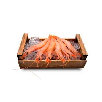 Lote de navidad premium 6: langostino de huelva, gamba blanca de huelva, camaron y zamburiñas