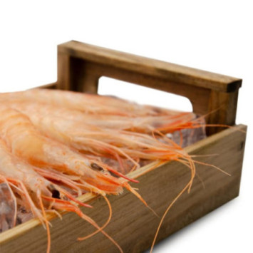 Gamba Blanca del Mediterráneo Extra 1kg