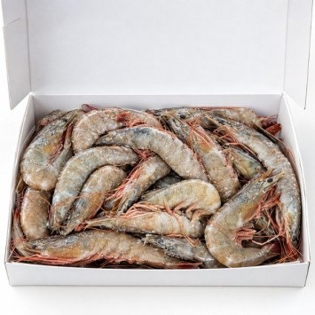 Langostino Vannamei Ecuador A3 40/50 10x2kg | Alto rendimiento | Compesca