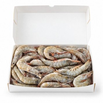 Langostino Vannamei Ecuador A3 40/50 10x2kg | Alto rendimiento | Compesca