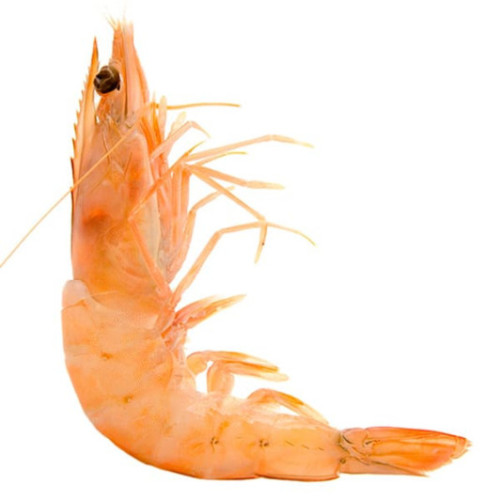 Langostino Marfil salvaje 2kg