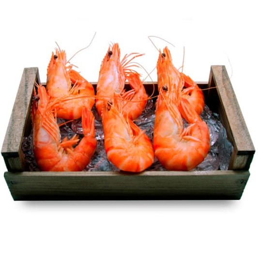 Langostino Tigre del Índico (Jumbo)