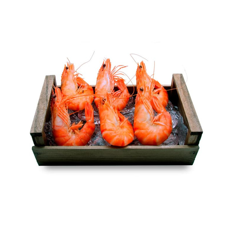 Langostino Tigre Jumbo