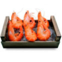 Langostino Tigre Jumbo