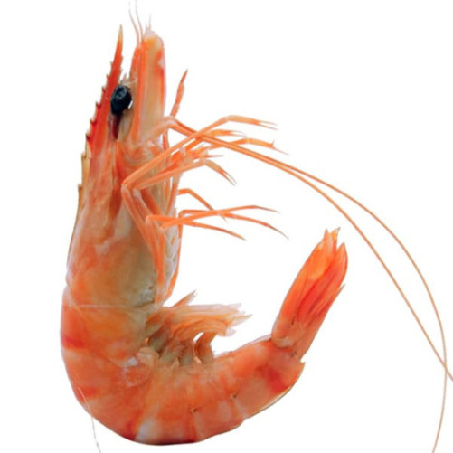 Langostino Tigre del Índico (Jumbo)