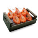 Langostino Tigre Jumbo