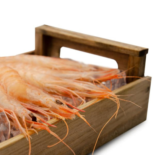 Gamba Blanca del Mediterráneo Mediana 1kg.