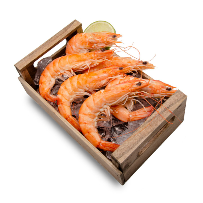 Langostino recién cocido 2kg