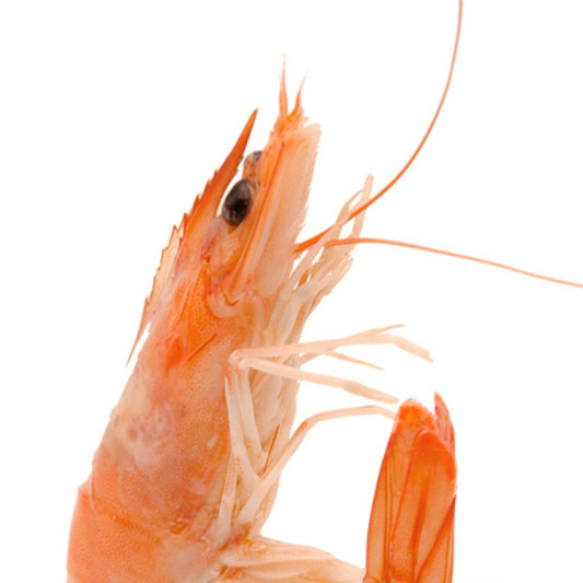 Langostino recién cocido 2kg