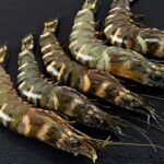 Claves para comprar los mejores langostinos crudos
