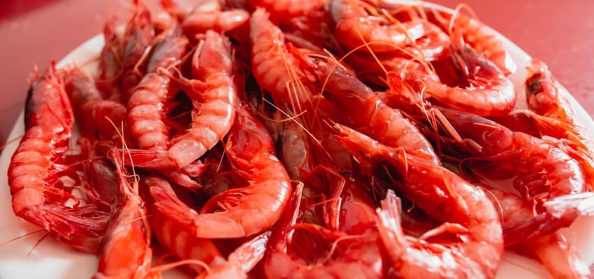 Beneficios de la Gamba Roja