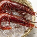 Recetas con carabineros: Curiosidades y modo de cocinarlo