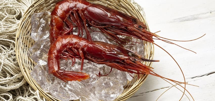 Recetas con carabineros