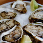 ¿Qué son los moluscos y cuántos tipos hay?