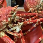 Cómo cocer centollos: guía paso a paso