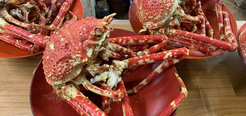 Cómo cocer centollos