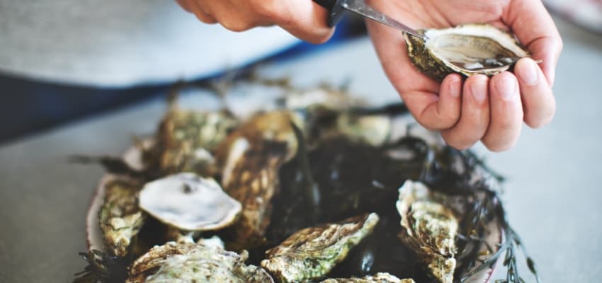 Guía paso a paso para abrir ostras