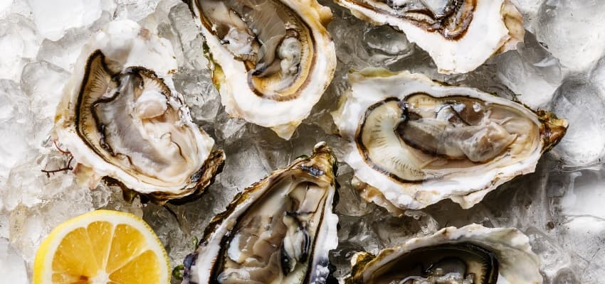 Guía paso a paso para abrir ostras